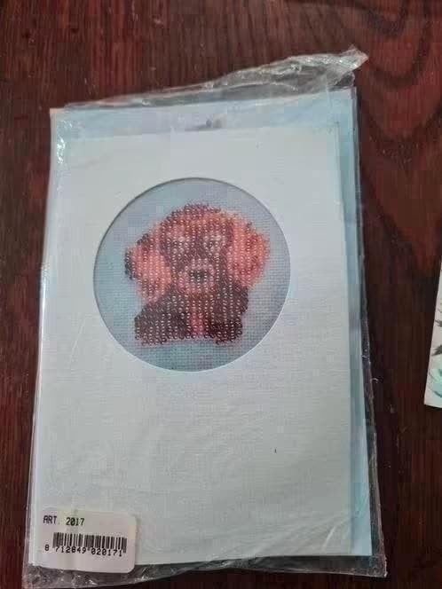 Borduurpakket met kraaltjes - Hond kaart, Ophalen of Verzenden, Nieuw, Handborduren, Borduurpakket