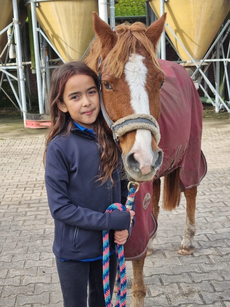 Verzorg paard/bijrijd paard GEZOCHT!!!, Ophalen of Verzenden, Overige typen