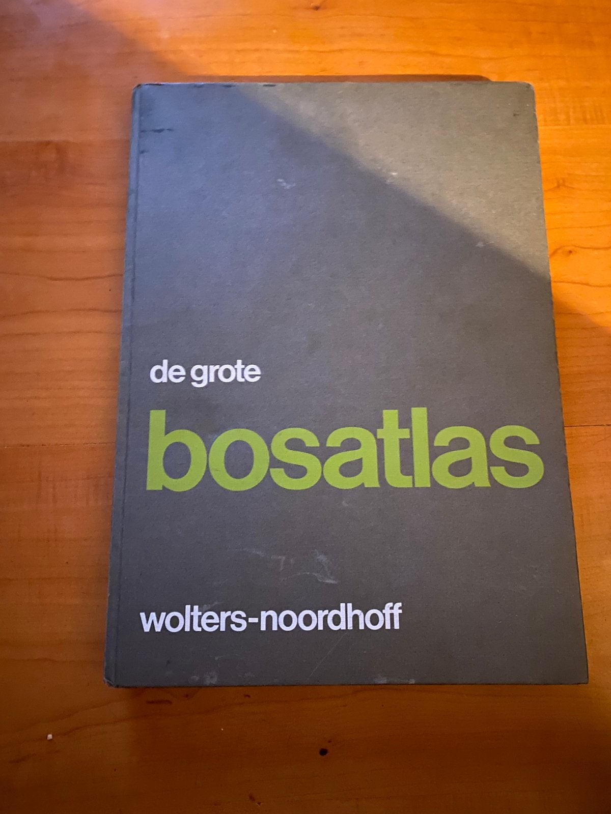 de grote Bosatlas, 48 ste druk, Boeken, Bosatlas, 2000 tot heden, Ophalen of Verzenden, Zo goed als nieuw