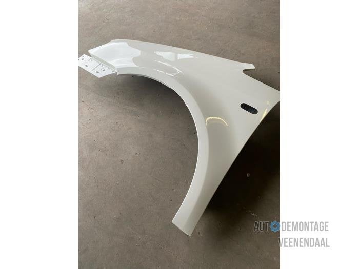 Scherm links-voor van een Volkswagen Caddy (R902), -, Volkswagen, -, Nieuw
