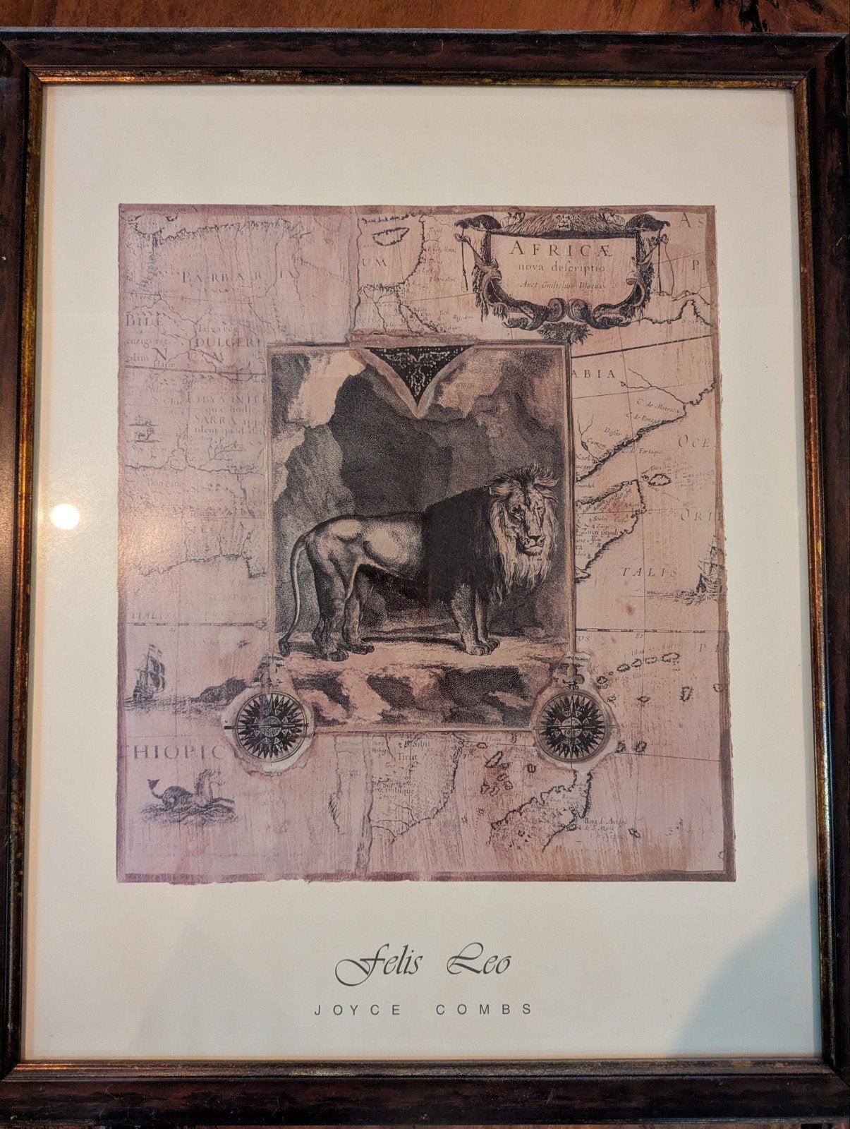 Ingelijste print 'Felis Leo' door Joyce Combs, 50 – 75, Gebruikt, Oorspronkelijke maker, Ophalen of Verzenden