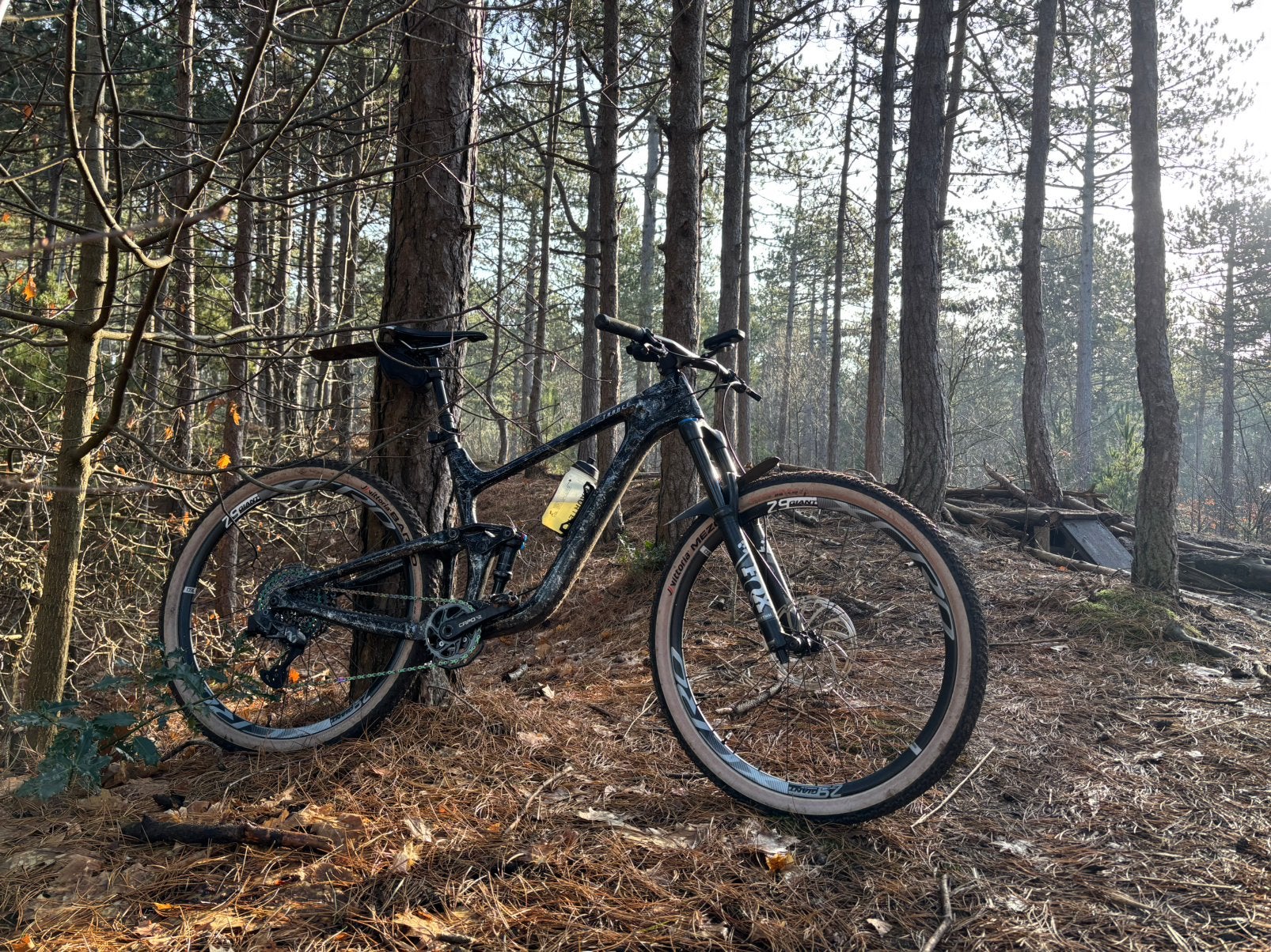 Giant Trance 2 Large - special bronze slate, Fietsen en Brommers, Fully, Ophalen, Overige merken