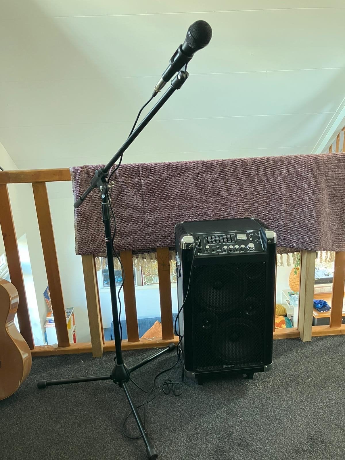 Skytec Mobile Audio Center met microfoon en standaard, Ophalen of Verzenden, Gebruikt, Zangmicrofoon