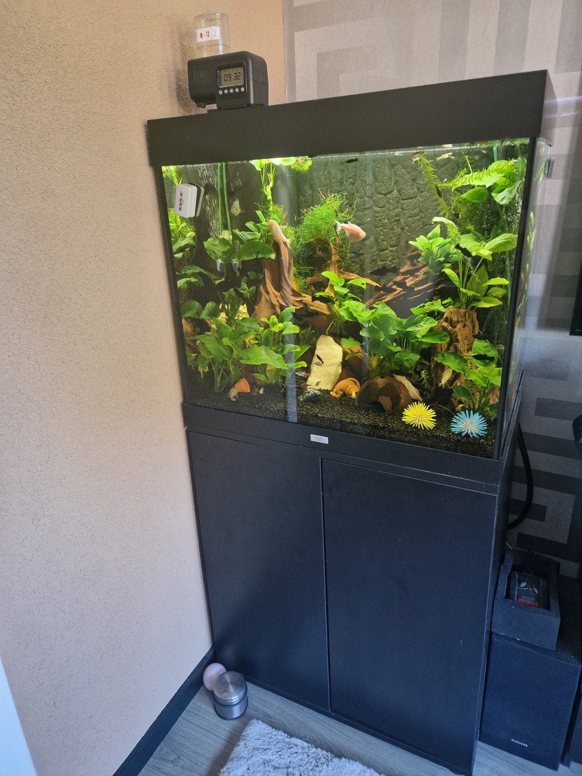 aquarium juwel lido 200 compleet, Ophalen, Zo goed als nieuw, Gevuld zoetwateraquarium