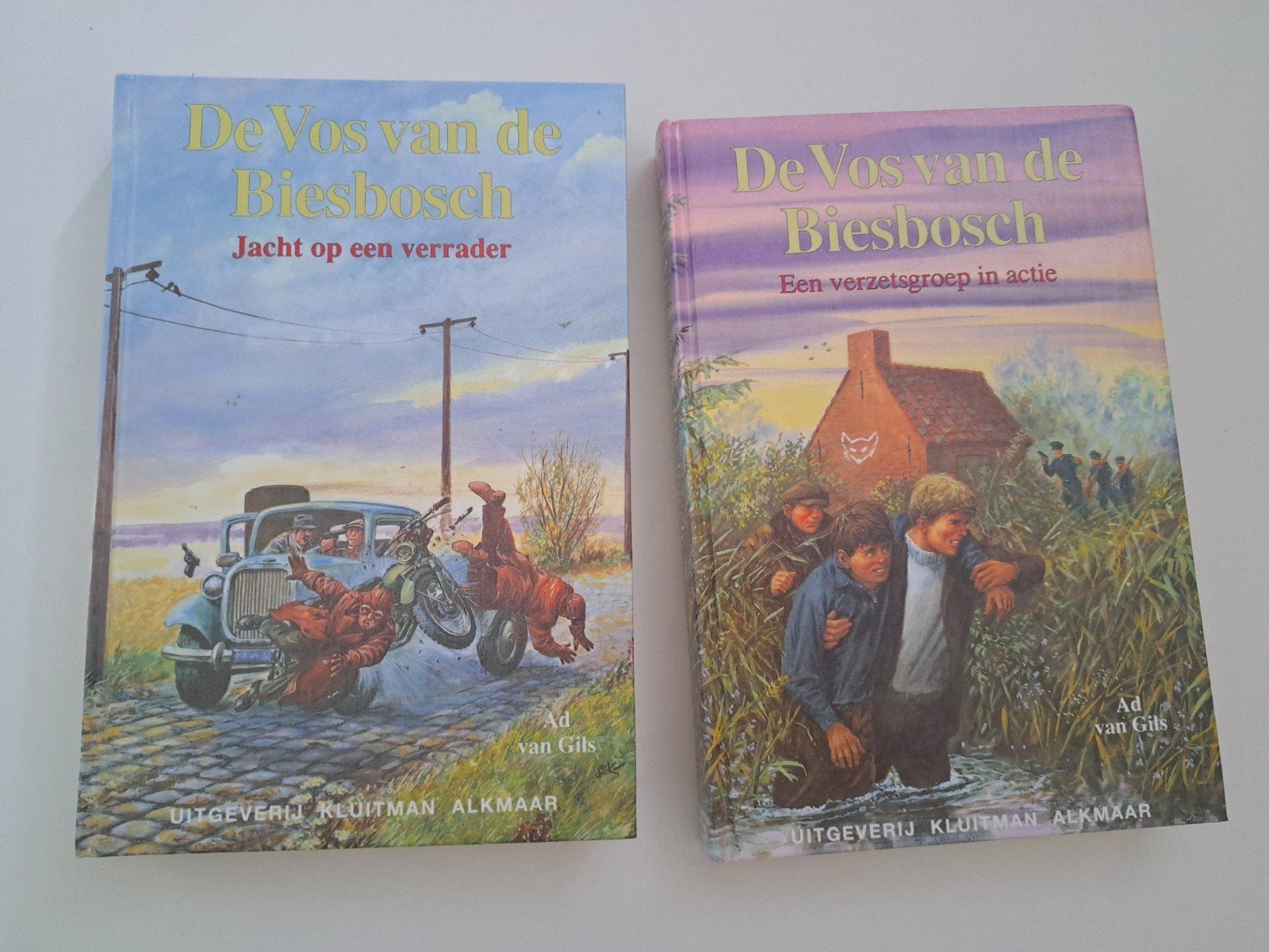 De Vos van de Biesbosch - 2 delen - Ad van Gils, Boeken, Ophalen of Verzenden, Gelezen, Ad van Gils, Fictie algemeen