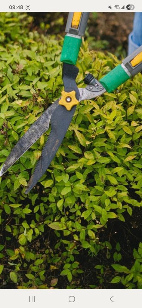 Bent u opzoek naar Tuinhulp/schoonmaak hulp, Ophalen of Verzenden, Gebruikt
