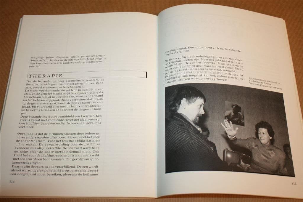 Parallax - De schijnbare werkelijkheid, Ophalen of Verzenden, Gelezen, Overige onderwerpen, Achtergrond en Informatie