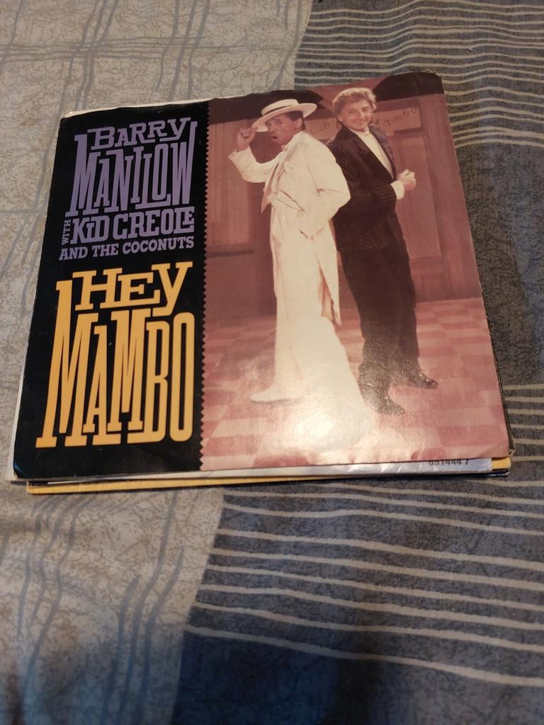 Barry Mannilow Hey Mambo, Ophalen of Verzenden, Zo goed als nieuw, Pop