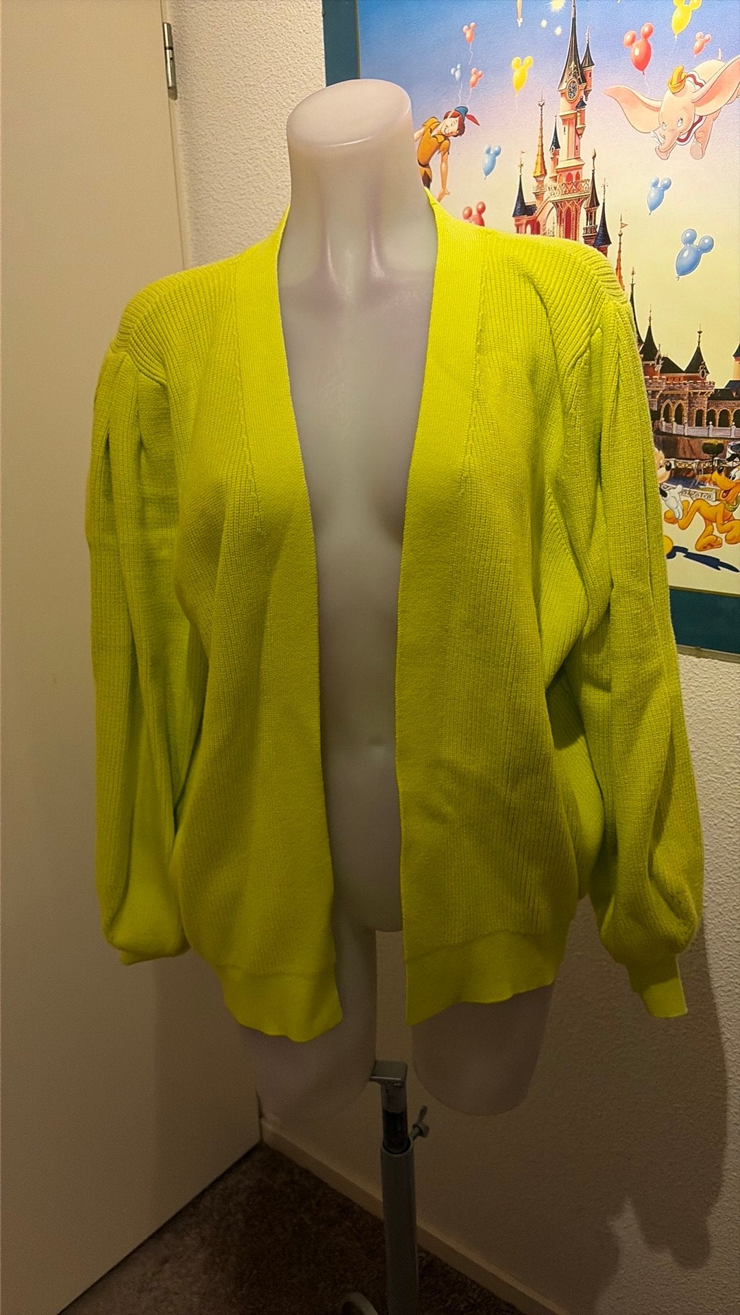 Nieuw mooi vest maat XL merk Andcowoman, Ophalen of Verzenden, Nieuw, Maat 46/48 (XL) of groter, Groen
