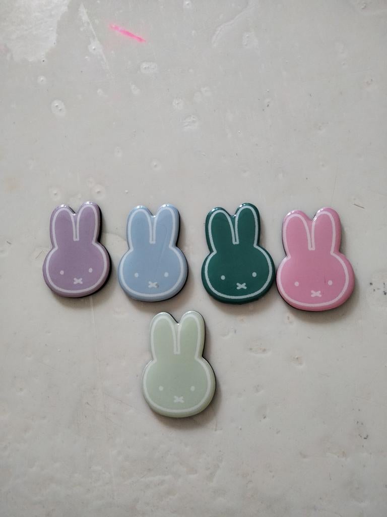 Set van 5 Nijntje magneetjes - diverse kleuren, Ophalen of Verzenden, Zo goed als nieuw