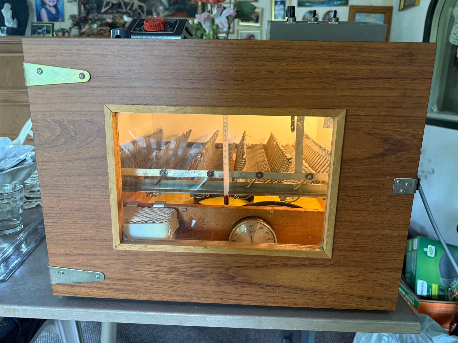 Volledig Automatische MS 50 Broedmachine, Ophalen, Broedmachine