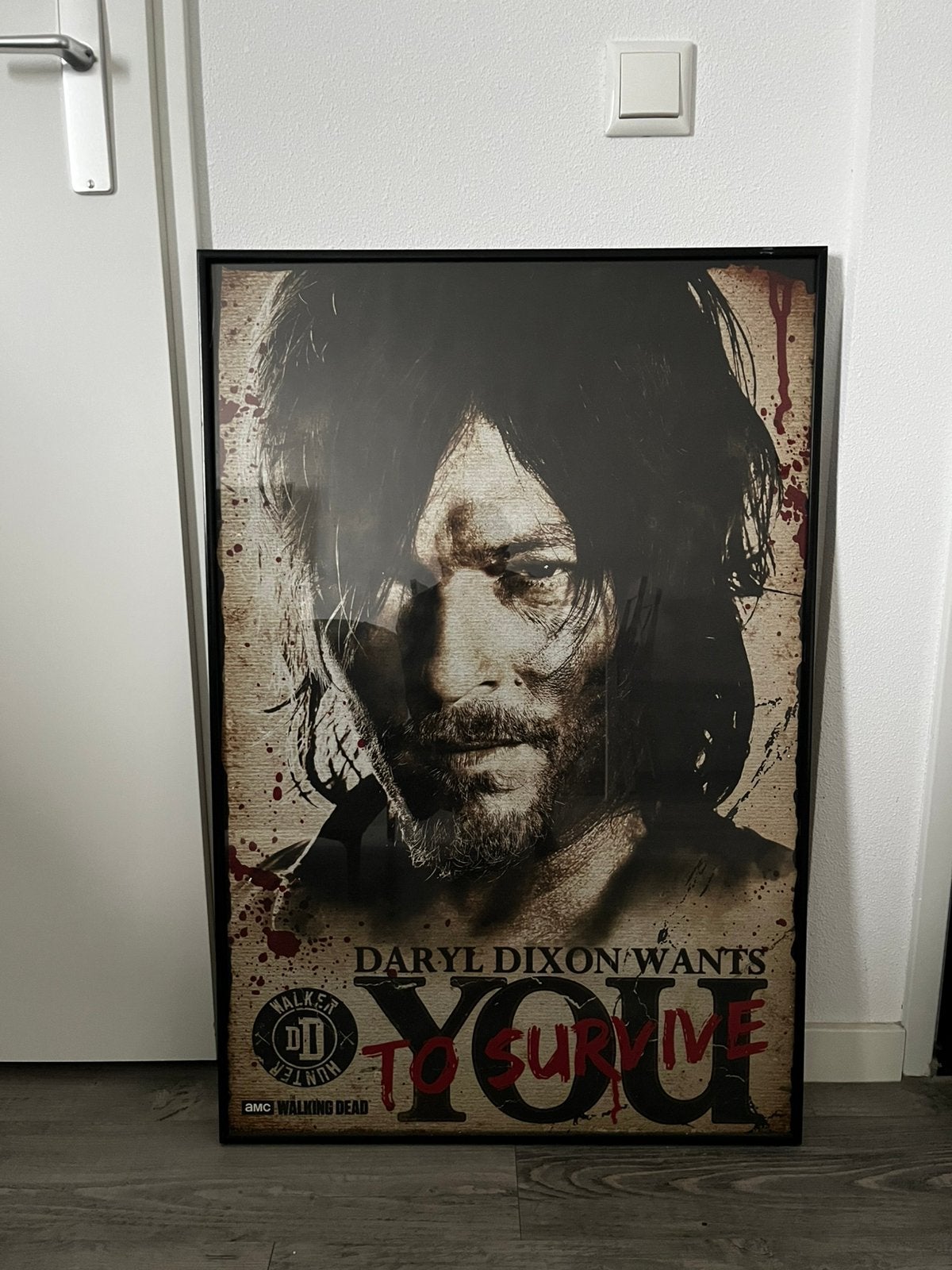 Walking Dead Poster, Antiek en Kunst, Ophalen