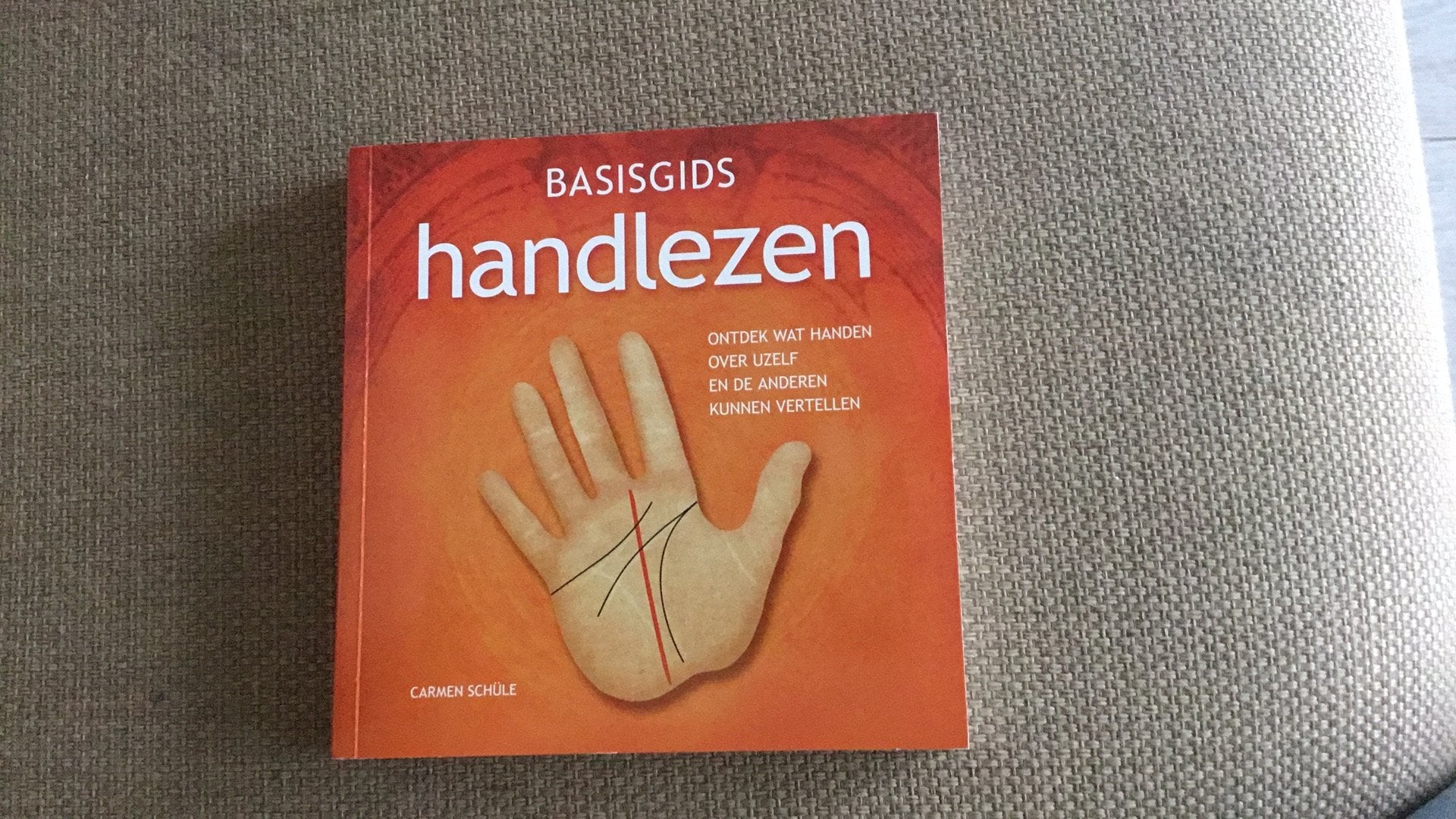 Handlezen - basis gids, inclusief veel illustraties, Ophalen of Verzenden, Gebruikt, Boek