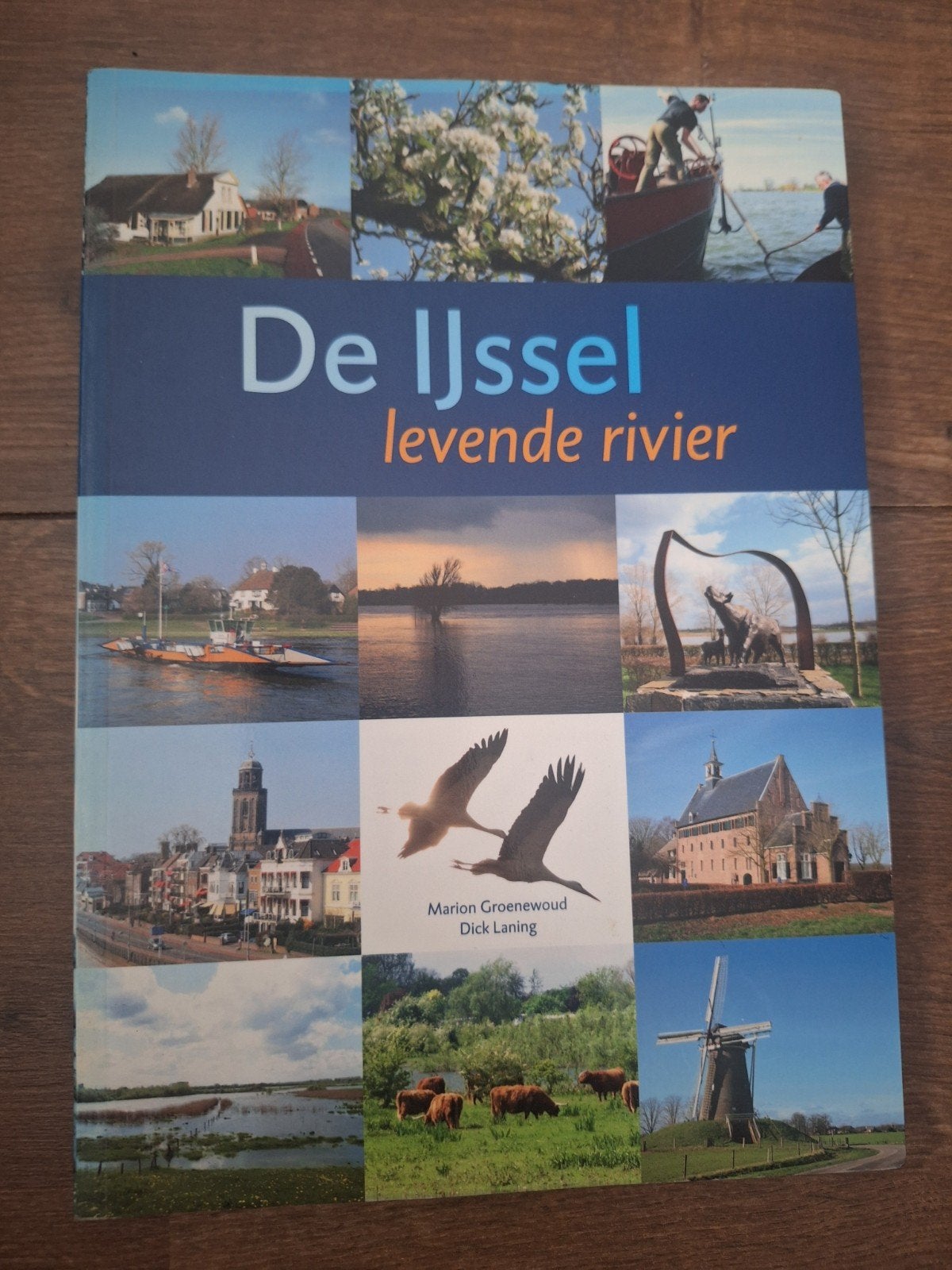 De IJssel: Levende Rivier - Boek over de IJssel, Ophalen of Verzenden, Zo goed als nieuw, Marion Groenewoud, Dick Laning, Nederland