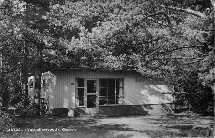 301-382-001 Ommen Taxus, Verzenden, Voor 1920, Overijssel