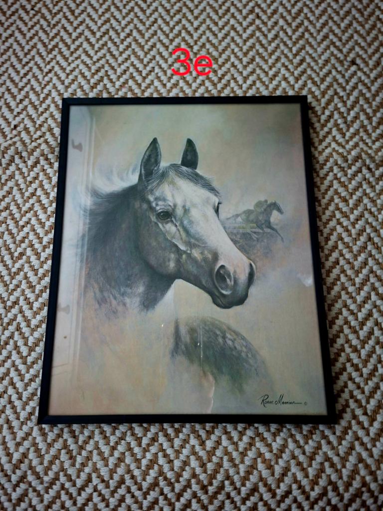 Paard, Antiek en Kunst, Kunst | Schilderijen | Modern, Ophalen of Verzenden