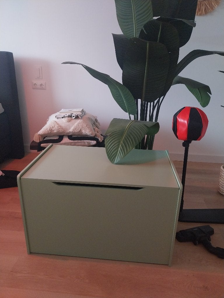 Kist, Huis en Inrichting, Ophalen of Verzenden, Zo goed als nieuw, 50 tot 100 cm, Minder dan 50 cm