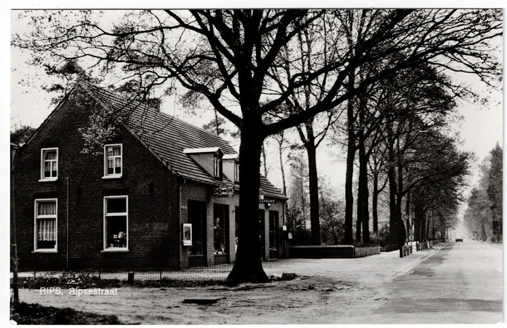 Rips (N.Br.) Fotokaart van de Ripsestraat., Ophalen of Verzenden, Ongelopen, Noord-Brabant