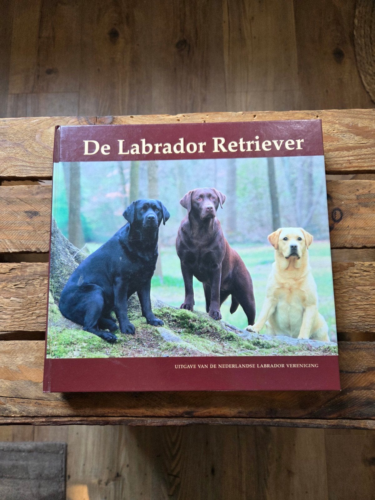 De Labrador Retriever -  Nederlandse Labrador Verenigi, Ophalen of Verzenden, Zo goed als nieuw, Honden, Nederlandse Labrador Vereniging