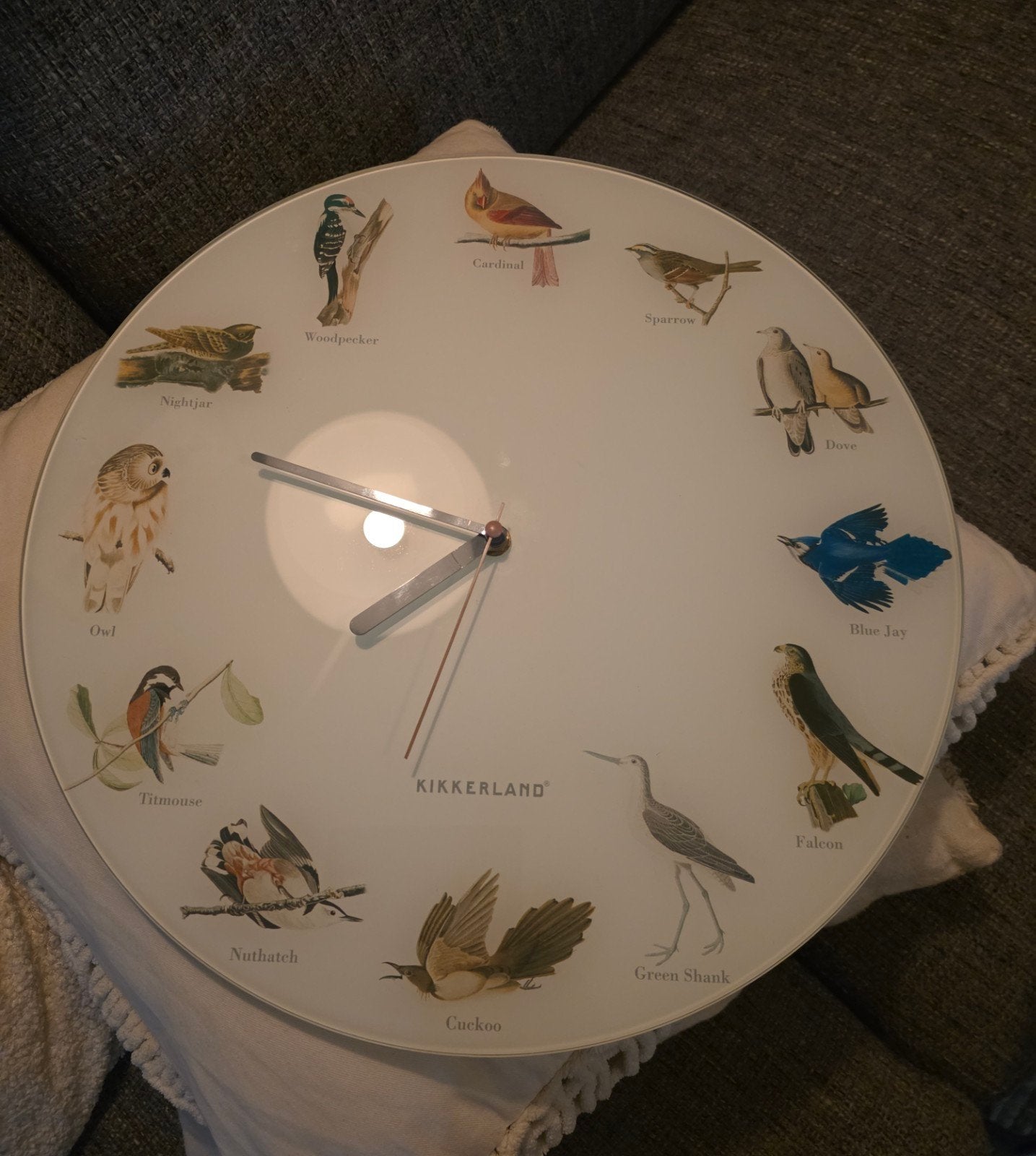 Glazen klok met vogelgeluiden - Kikkerland, Ophalen of Verzenden