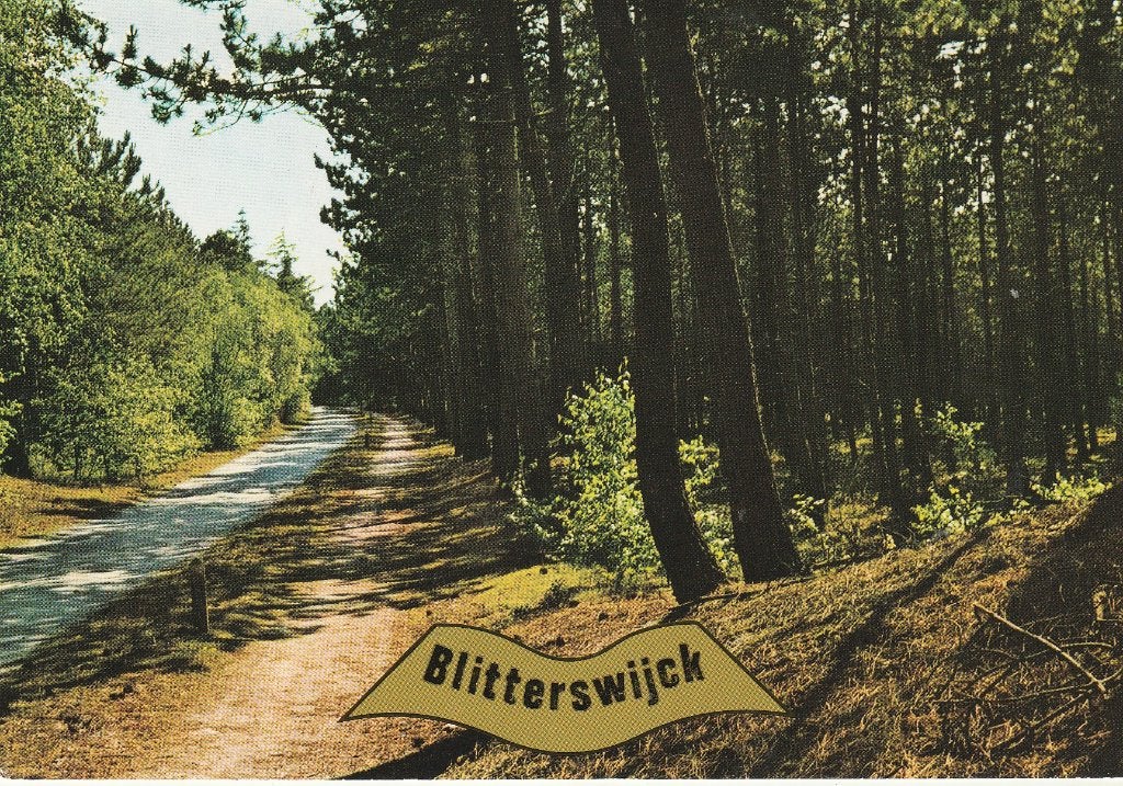 Blitterswijck - Bosweg - Ansichtkaart 1981, Ophalen of Verzenden, 1980 tot heden, Gelopen, Limburg