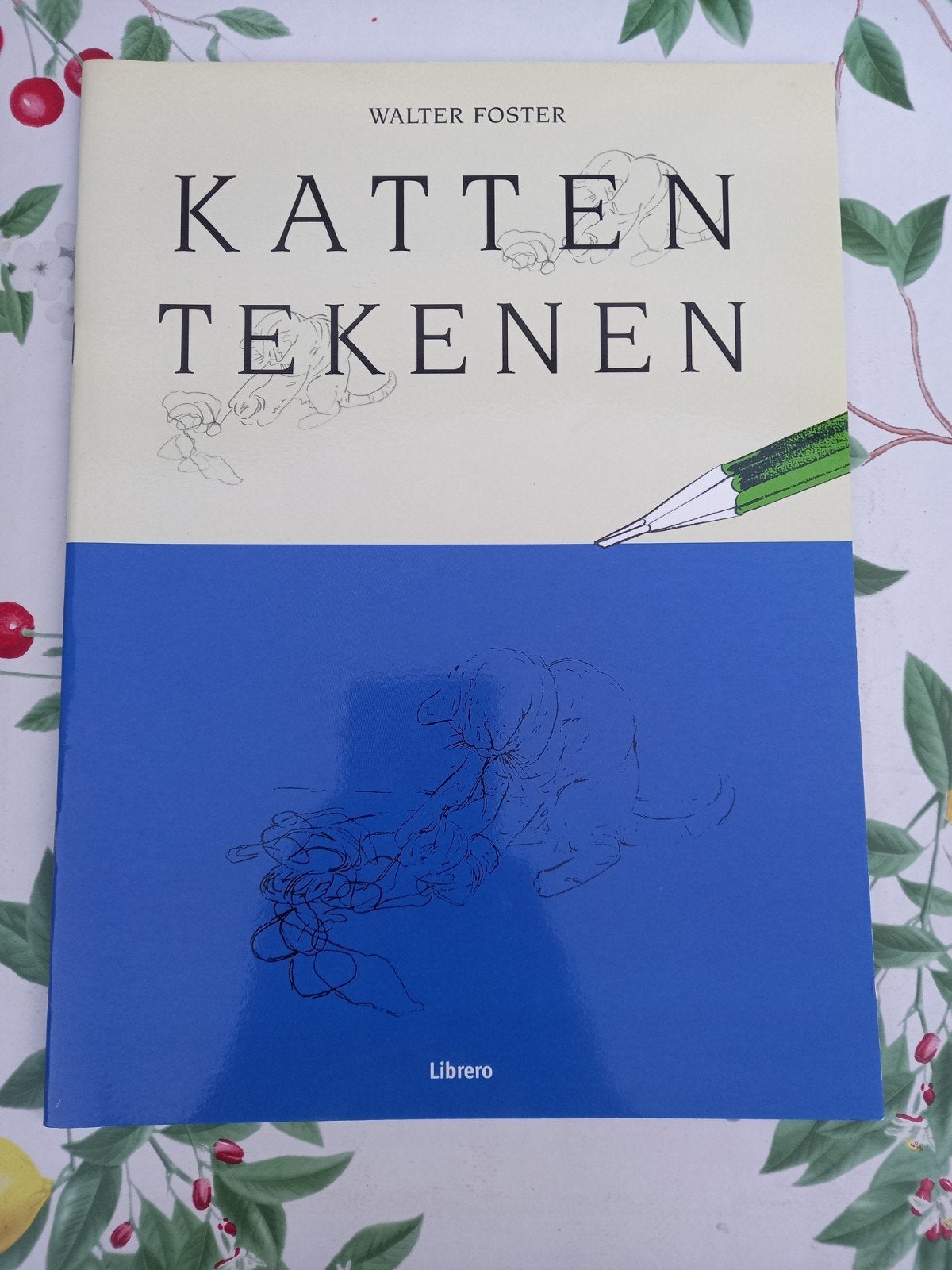 Y W. Foster - Katten tekenen, Ophalen of Verzenden, Zo goed als nieuw, Tekenen en Schilderen, W. Foster