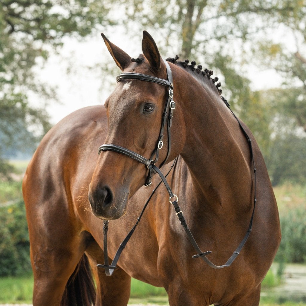 Horka bitloos hoofdstel kaakgekruist maat Pony, Cob of Full, Hoofdstel, Overige disciplines, ., Nieuw