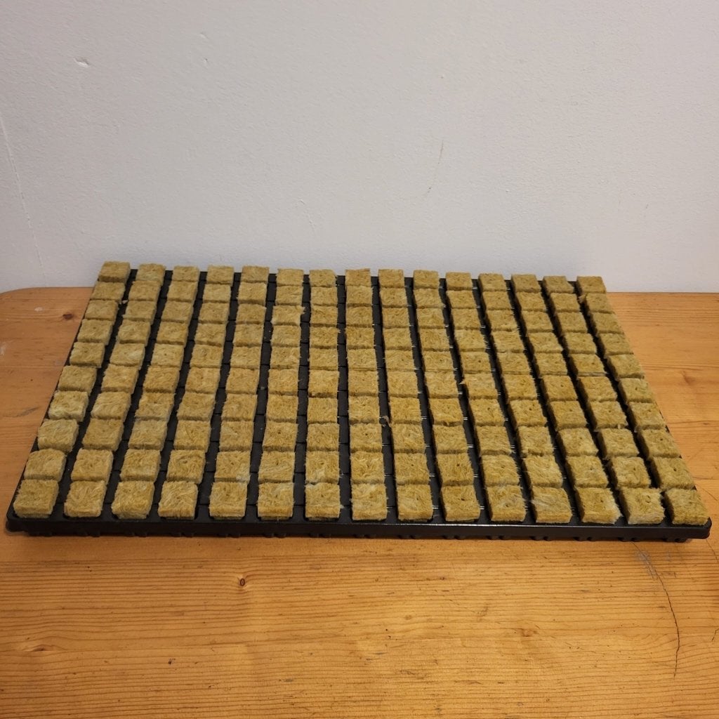 Kweektray steenwol 150 stuks (53,5x30,5 cm), Ophalen of Verzenden, Zo goed als nieuw, Kweekbak