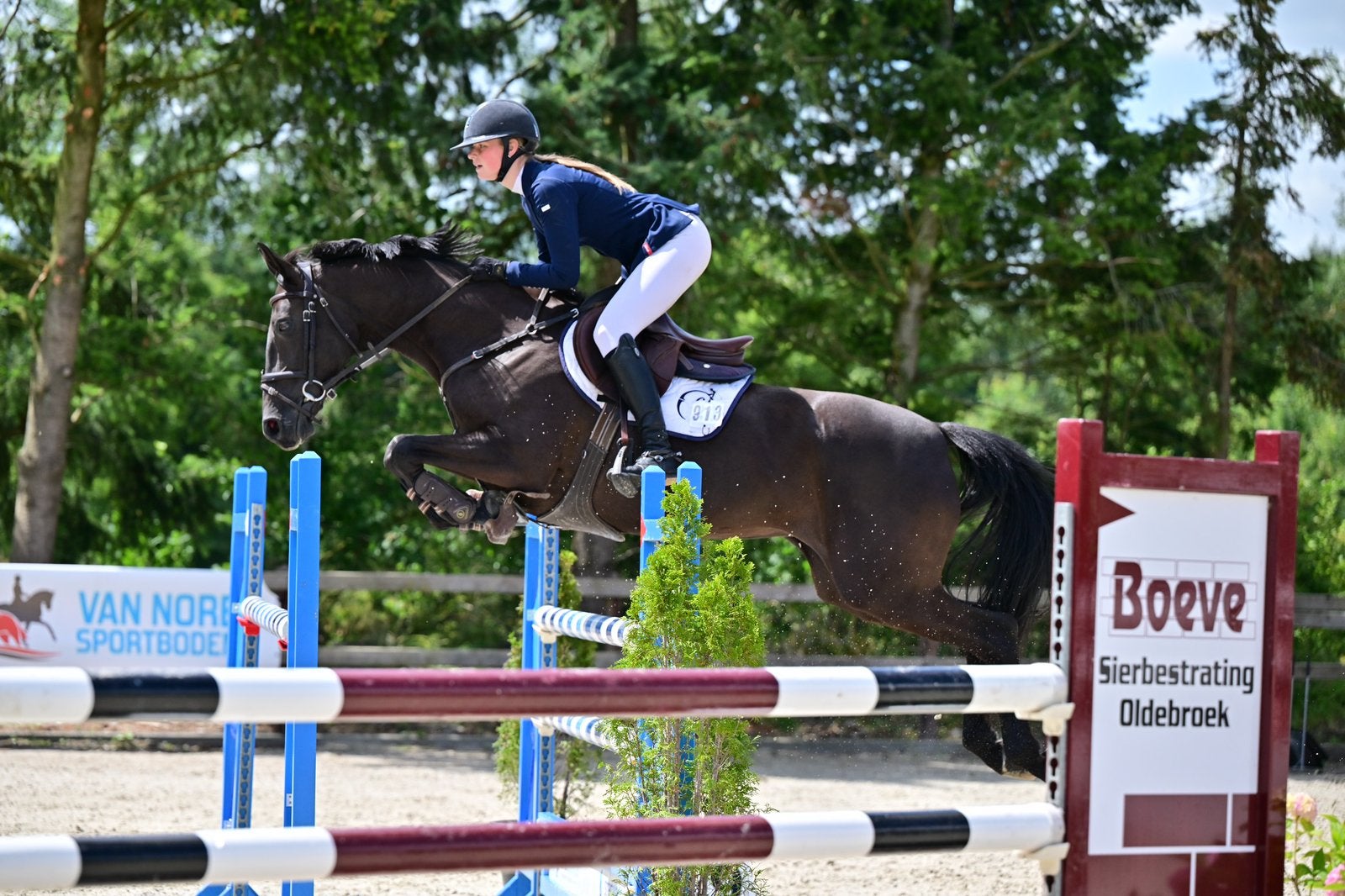 Enthousiaste instructie aangeboden (Orun 4), Diensten en Vakmensen, Dieren | Paarden | Verzorging, Oppas en Les, Paardrijles of Ponykampen