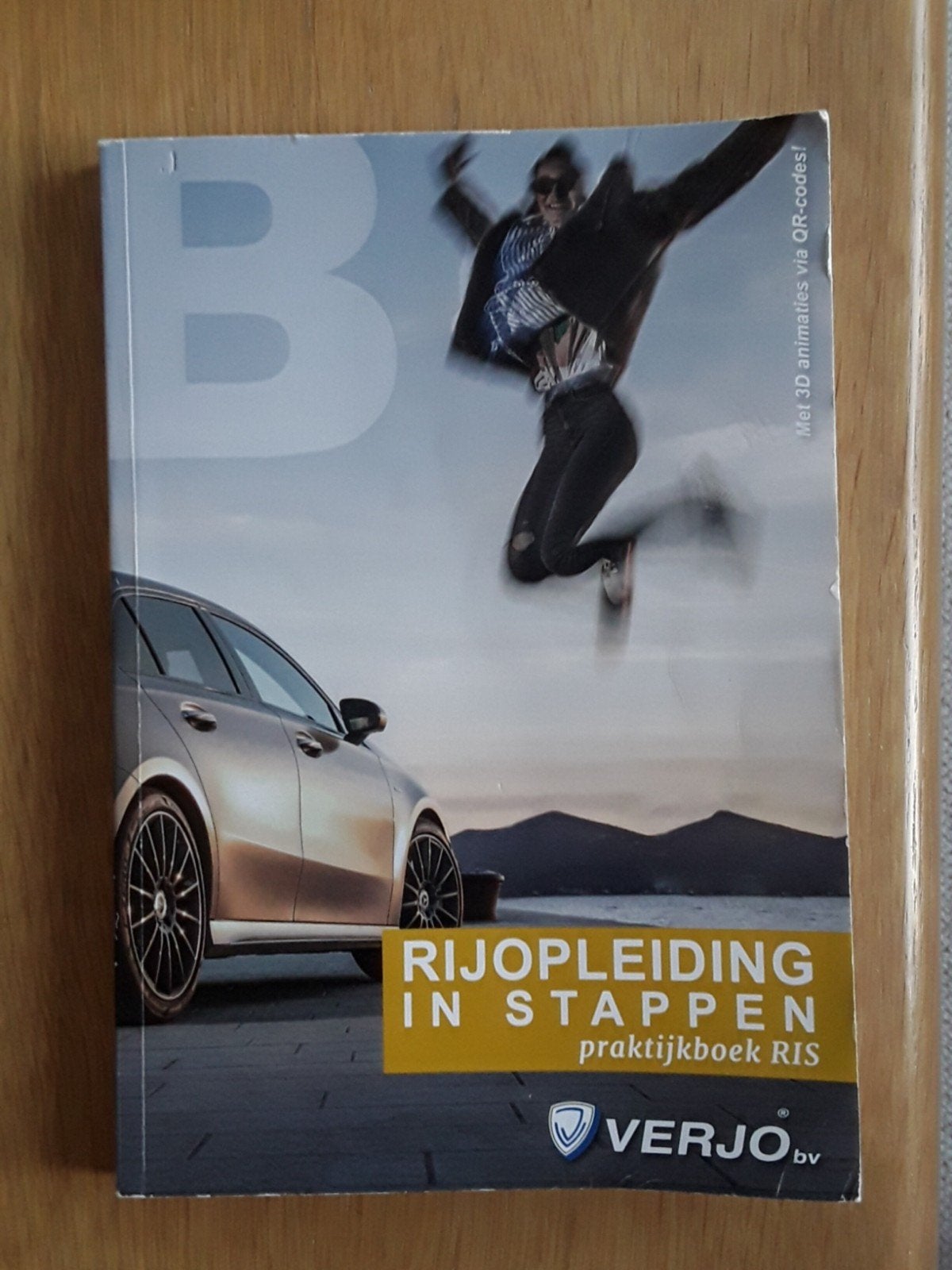 Rijopleiding in Stappen Praktijkboek RIS, Boeken, Verjo, Ophalen of Verzenden, Zo goed als nieuw, Gamma