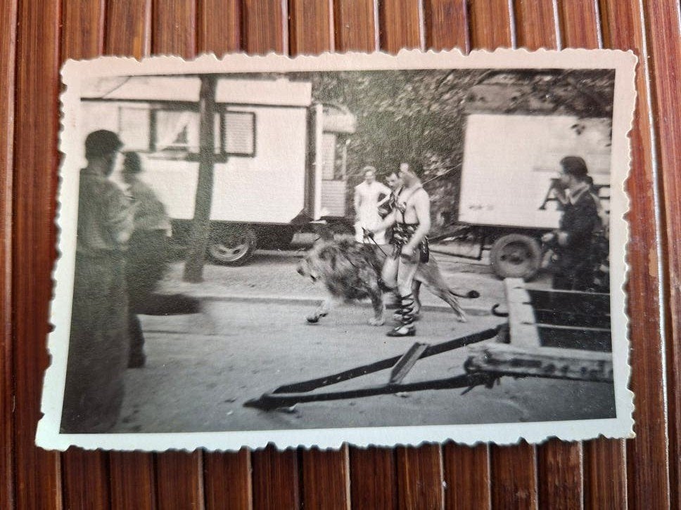 Zirkus Aeros, jaren '50 - Vintage foto, Ophalen of Verzenden