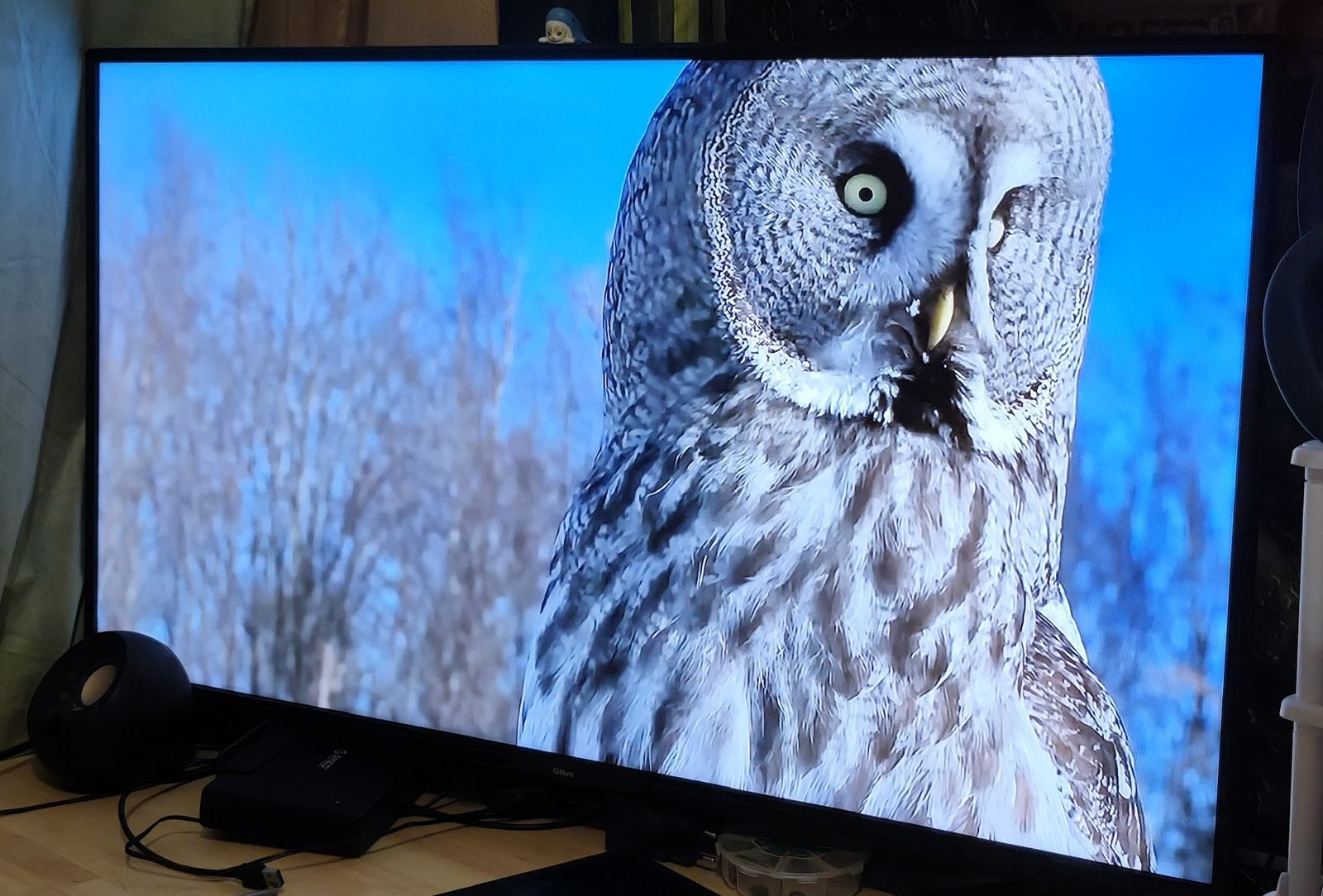 40 inch LED televisie 1 jaar oud met garantie, Audio, Tv en Foto, 50 Hz, Zo goed als nieuw, 100 cm of meer, Ophalen