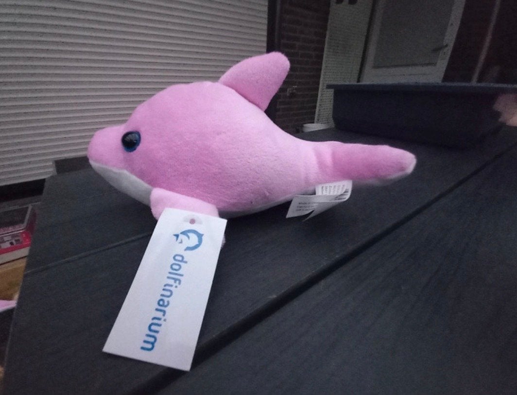 Roze dolfijn knuffel, Overige merken, Overige karakters, Overige typen, Nieuw