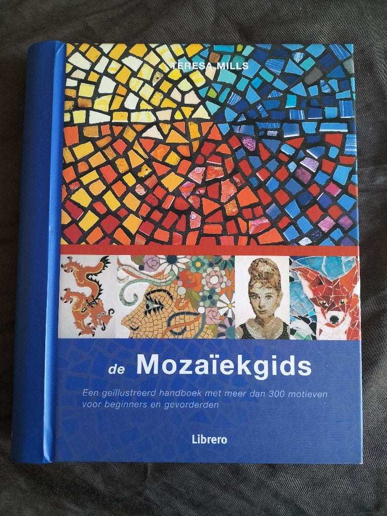Teresa Mills - De Mozaïekgids, Ophalen of Verzenden, Zo goed als nieuw, Overige onderwerpen, Teresa Mills