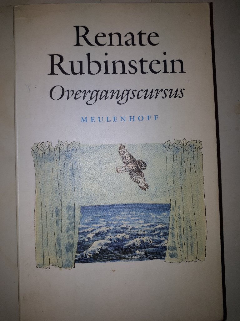 Overgangscursus - Renate Rubinstein, Ophalen of Verzenden, Gelezen