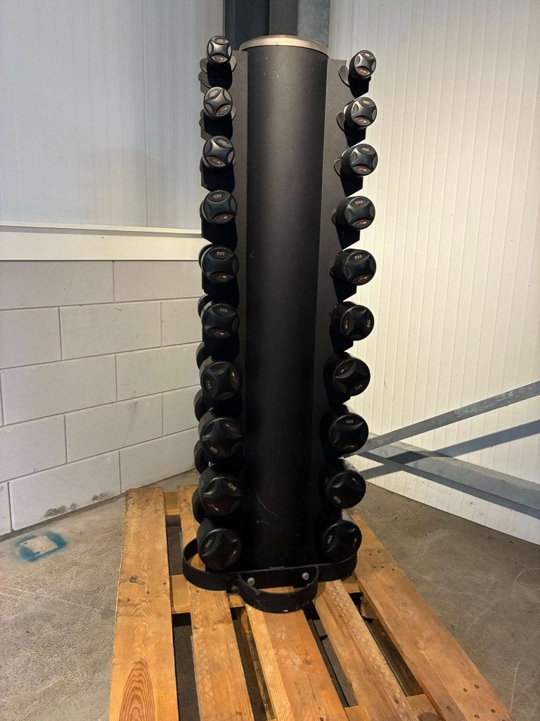 Lifemaxx Dumbbellset 1 t/m 10 KG, Sport en Fitness, Fitnessmaterialen, Halterschijven, Gebruikt, Niet ingevuld, Niet ingevuld