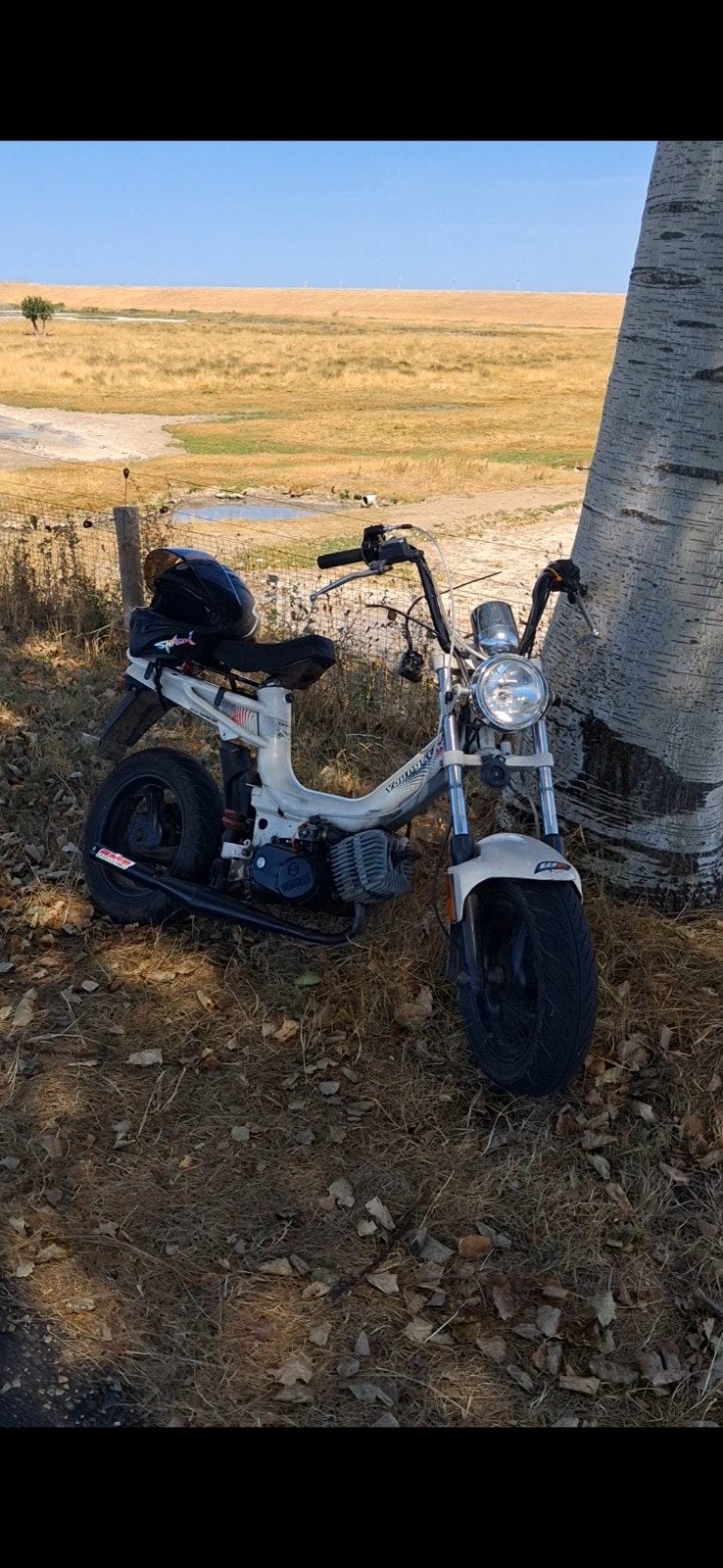 WAARDEPEILING!!! tomos youngster 50cc, Fietsen en Brommers, Brommers | Tomos, Ophalen, Standard