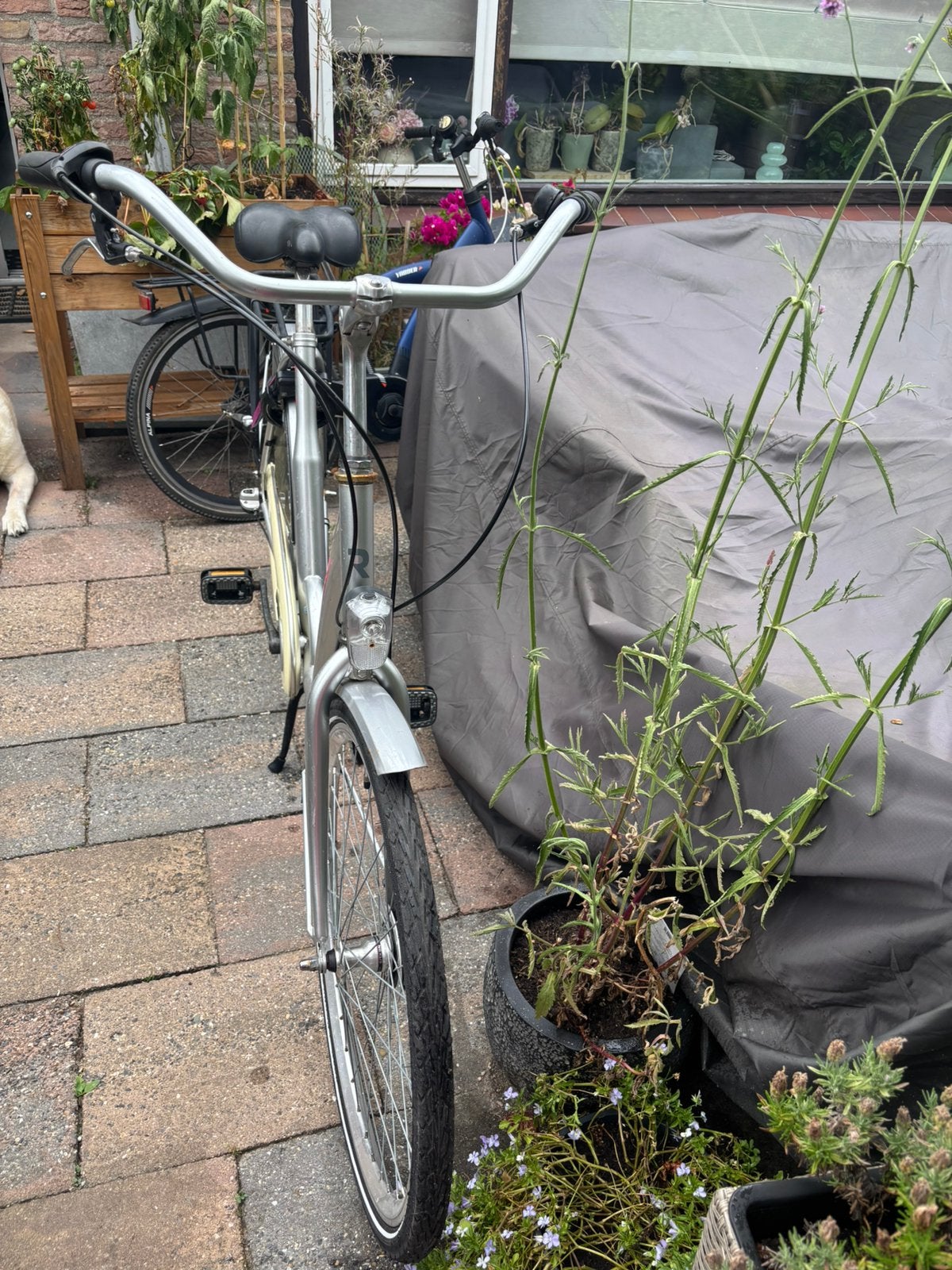 Moederfiets grijs reflection femme, Ophalen, 0 zitjes, Gebruikt, Overige merken