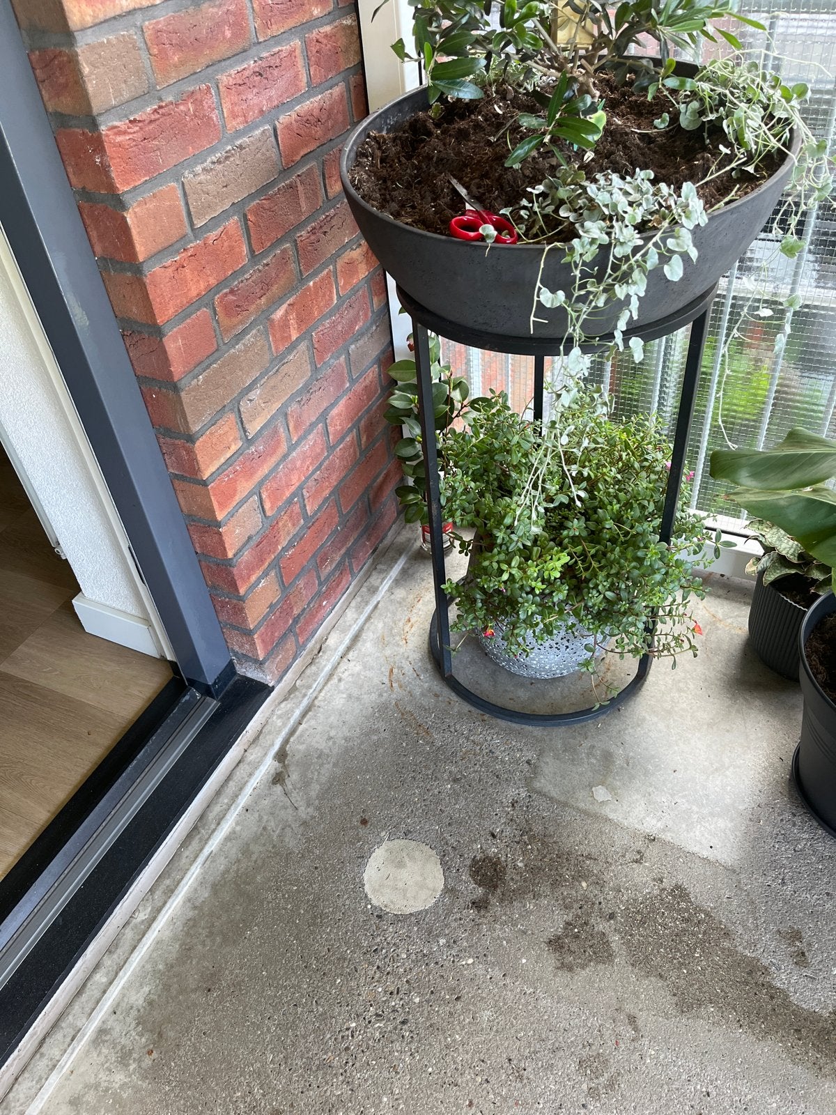 Bloemmenschaal met voet - Ideaal voor balkon of tuin, Tuin en Terras, Ophalen, Kunststof, Gebruikt, Balkon