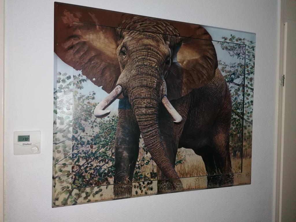 Schilderij Olifant 110x80 cm, Ophalen