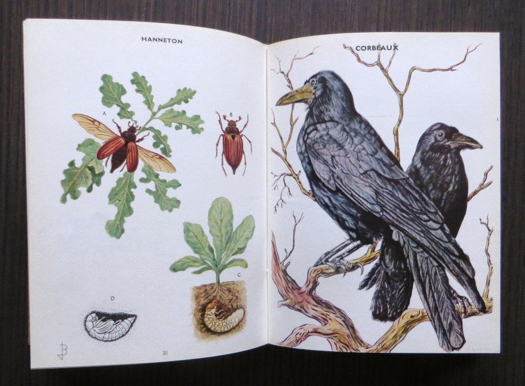Atlas de Parasitologie Agricole & Carences minérales - 1962, Verzenden