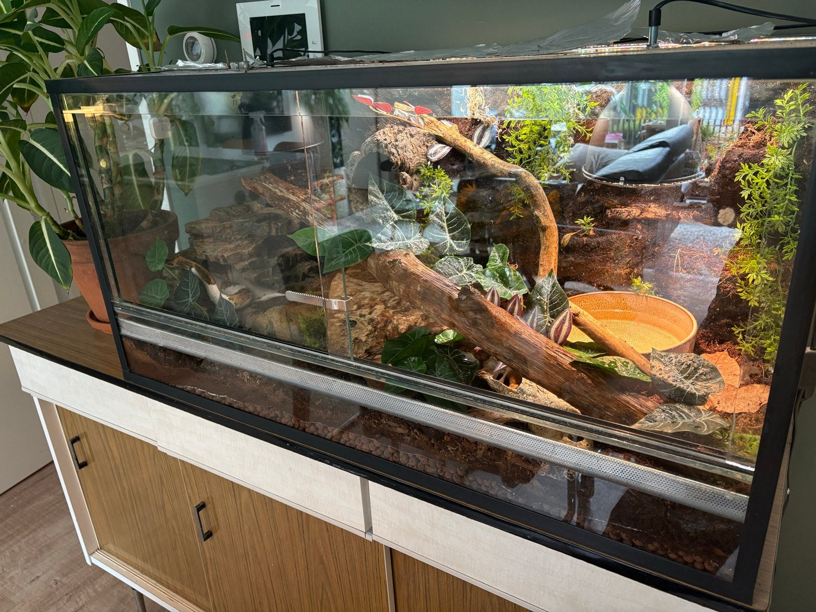 Terrarium 100x50x50, Dieren en Toebehoren, Ophalen, Terrarium of Paludarium