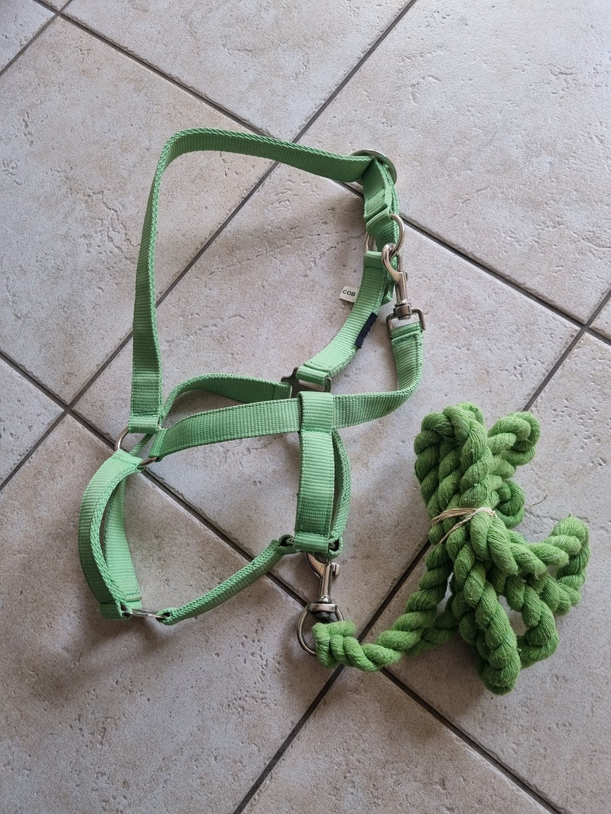 Halster+Touw maat COB., Ophalen of Verzenden, Gebruikt, Overige soorten