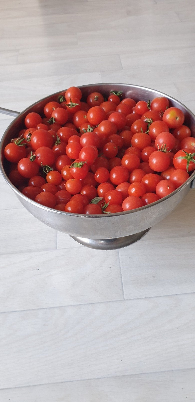 1 kg verse biologische snoeptomaten, Ophalen