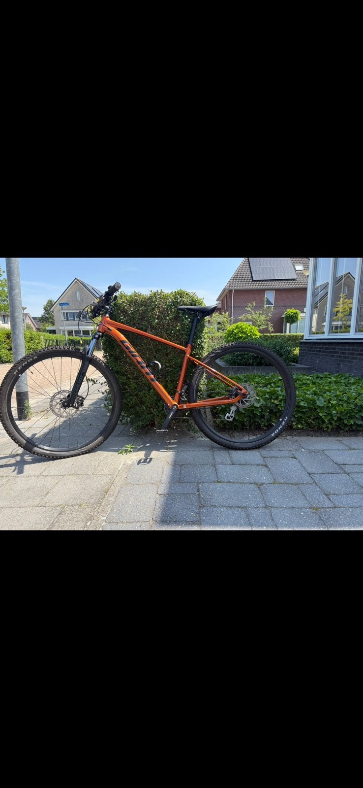 Giant Tallon Mountainbike, Ophalen, Zo goed als nieuw, Meer dan 20 versnellingen, Giant