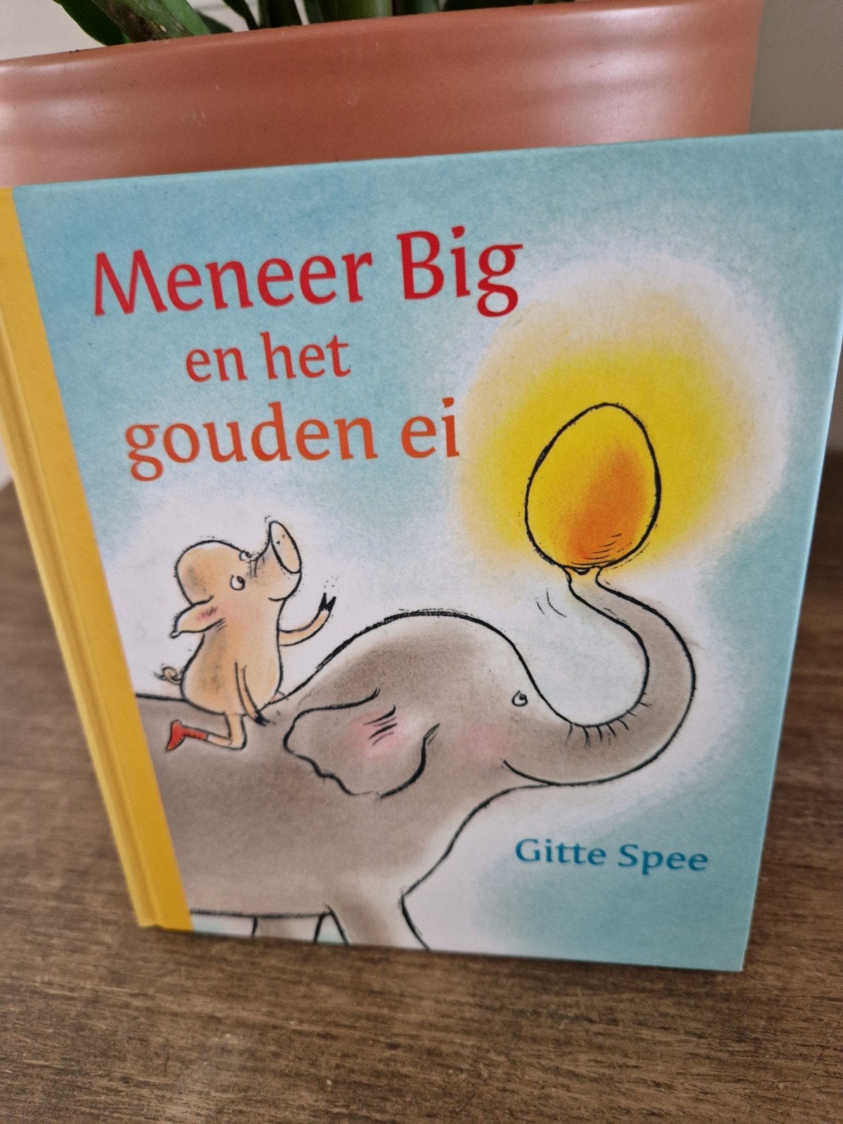 Meneer Big en het gouden ei - Gitte Spee, Ophalen, Zo goed als nieuw, Fictie algemeen, Voorleesboek