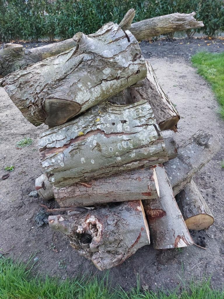 openhaard hout zelf te kloven els ca 1m3, Minder dan 3 m³, Ophalen, Elzenhout, Stammen