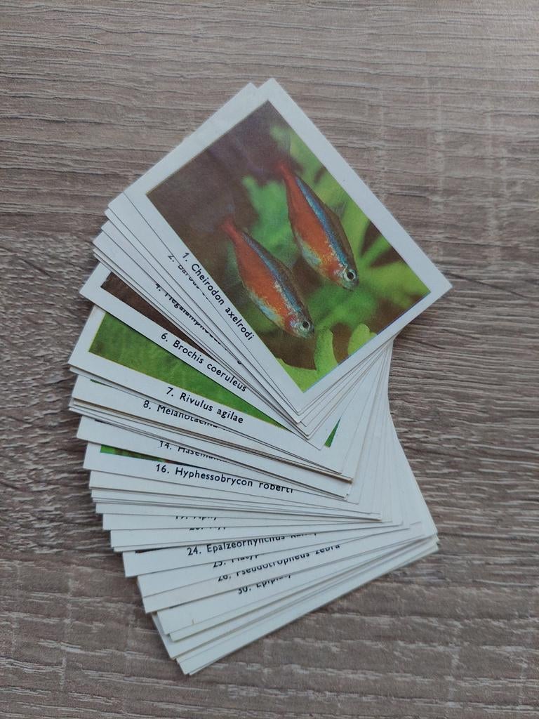 RIZLA plaatjes ' Zo leer je vissen/vogels kennen', Boeken, Prentenboeken en Plaatjesalbums, Ophalen of Verzenden, Gelezen, Onbekend