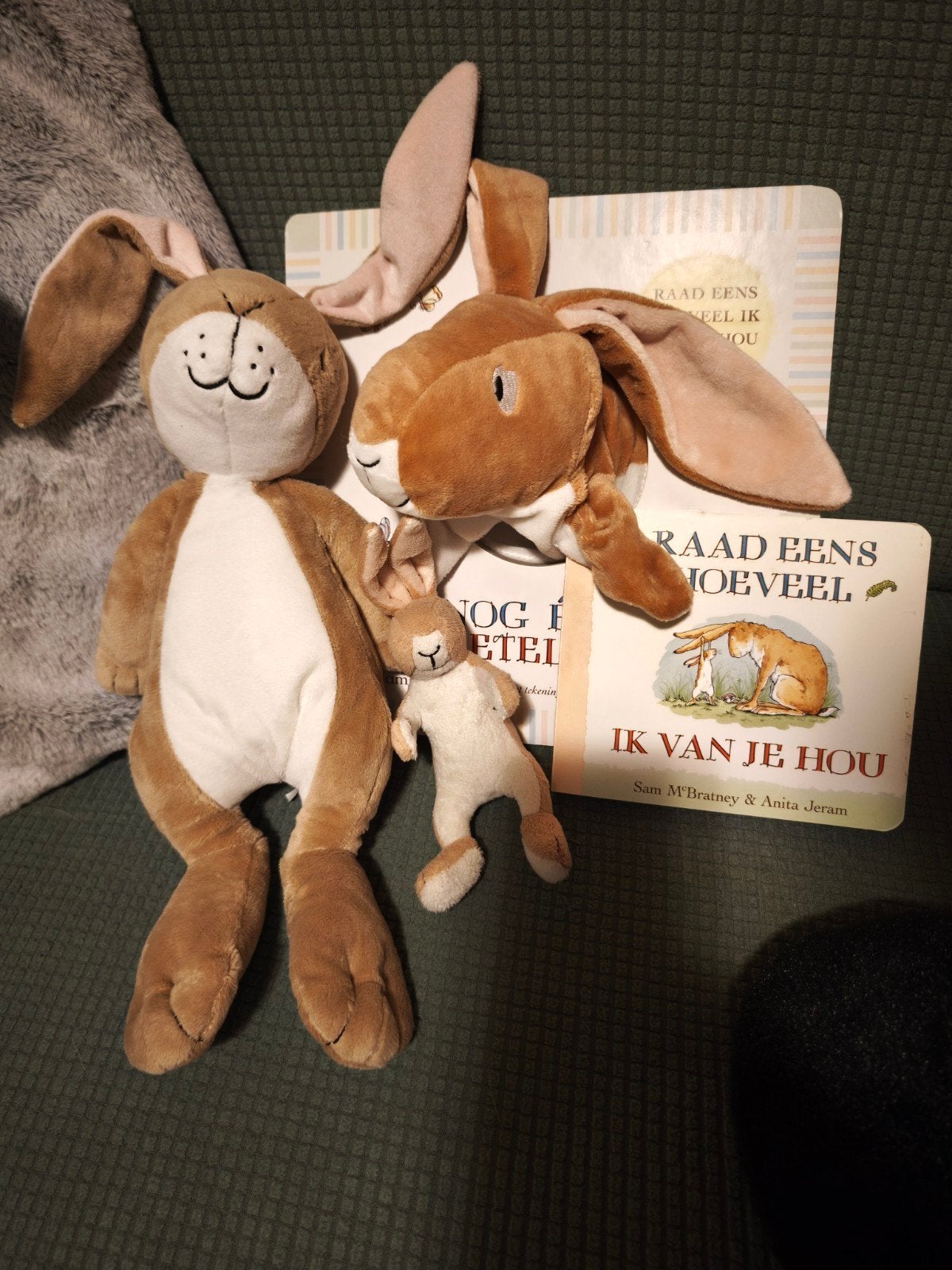 Hazeltje boeken en knuffels, Kinderen en Baby's, Speelgoed | Knuffels en Pluche, Gebruikt, Overige karakters, Konijn, Ophalen of Verzenden