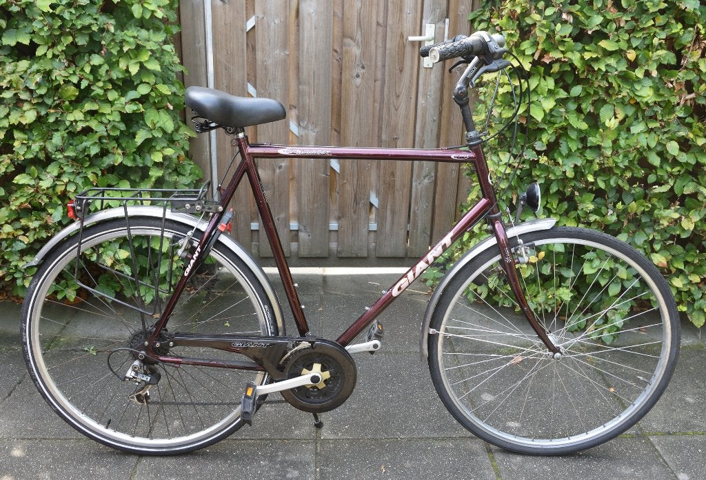 Giant GROTE herenfiets 21speed frame=66cm(!) 28inch, Ophalen, Velgrem, Versnellingen, Giant